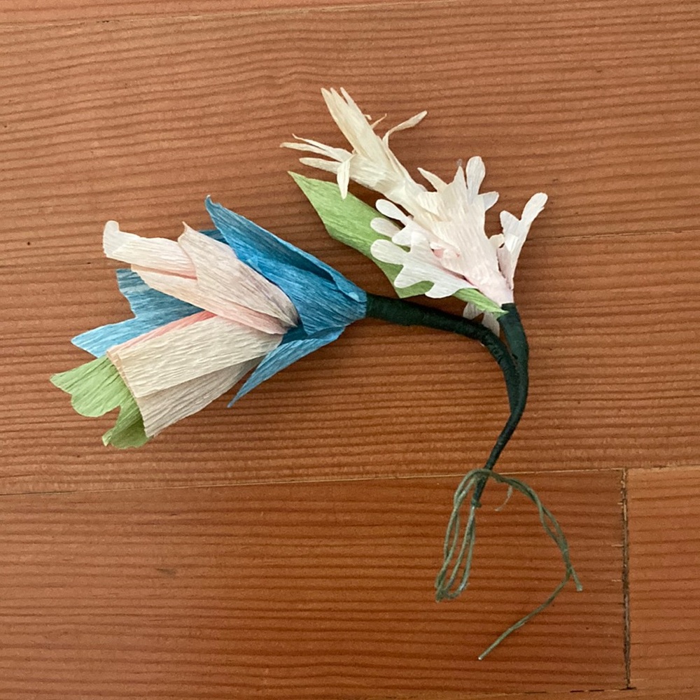 Meet your Posher, Laura